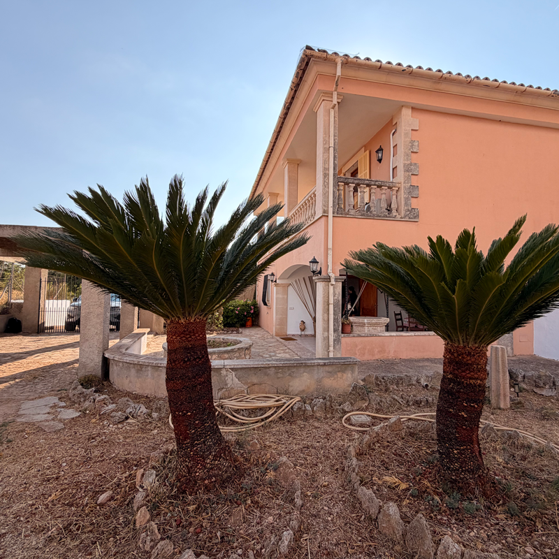 Exterior_2_Openhaus_es