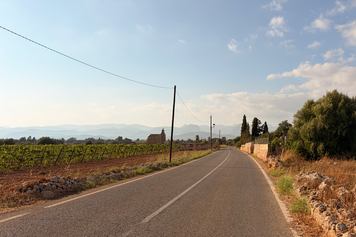 Road_2_Openhaus_es